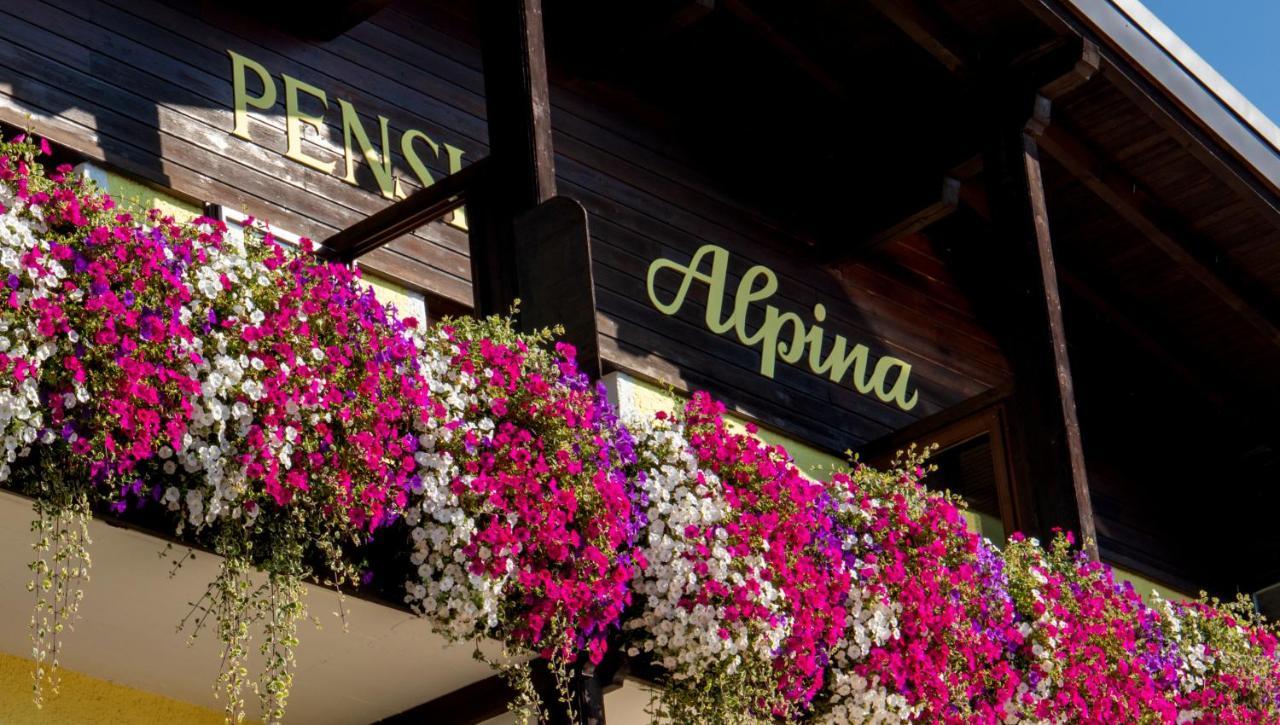 Cafe Pension Alpina Инсбрук Экстерьер фото